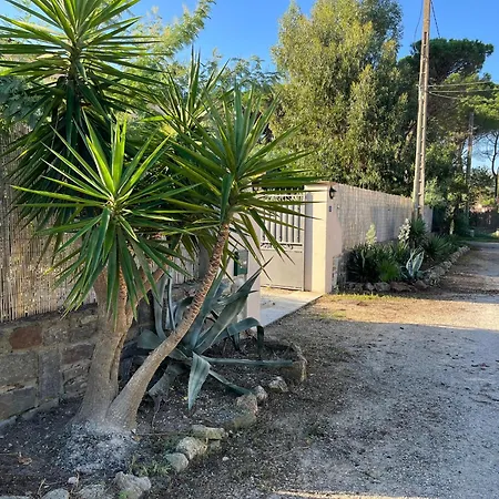 Bastide De La Pinede Villa Saint-Tropez