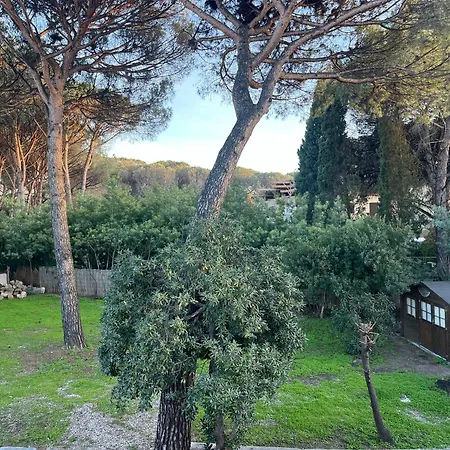 Bastide De La Pinede Villa *